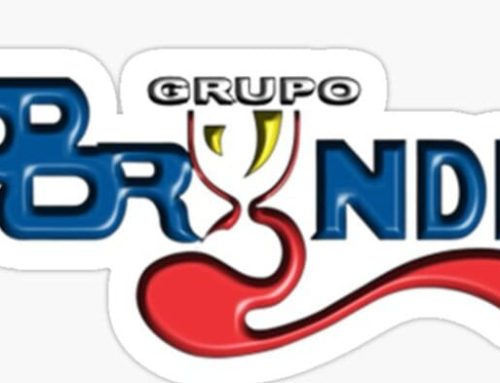February Client Spotlight: Grupo Bryndis